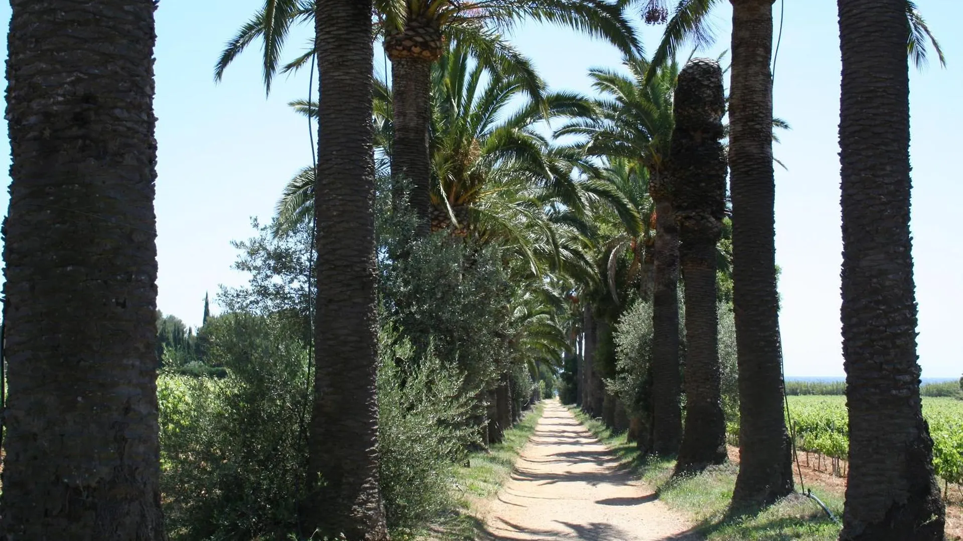 ***  Hotel La Cigale La Croix-Valmer Γαλλία